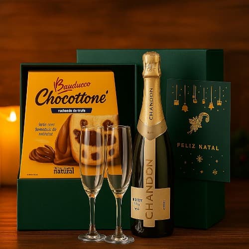 Kit Promocional Celebração - imagem 1